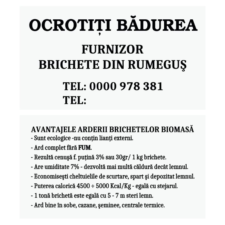 Double-Sided Black-and-White Business Cards on Card Stock